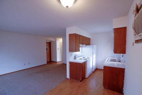 Minneapolis-Apartment-for-Rent-3554 17th Ave S MInneapolis MN-10